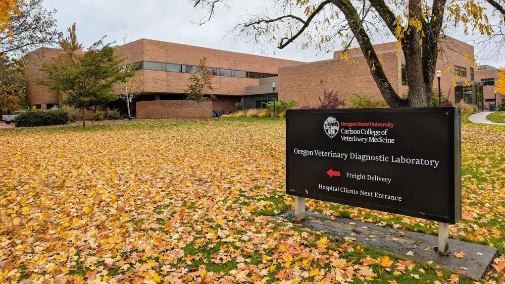 Students inside a rendered building