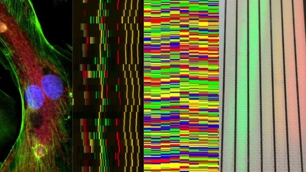 mesh of images