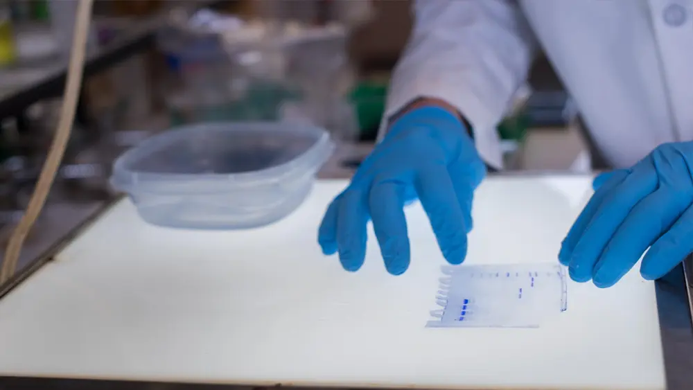 gloved person working on a light table